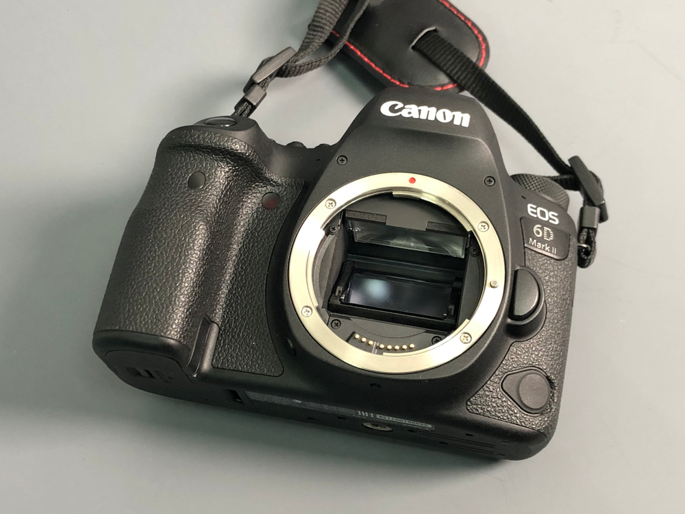 Canon 6D Mark II 4.500 кадров