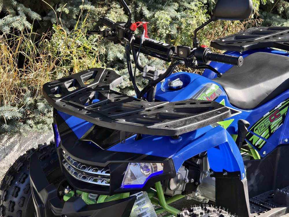 Lion 125 A lite синий