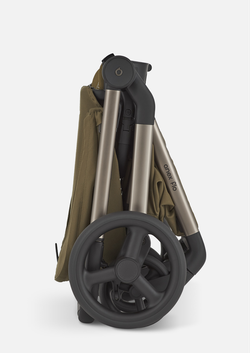 Anex Детская коляска Flo 2 в 1 Astra