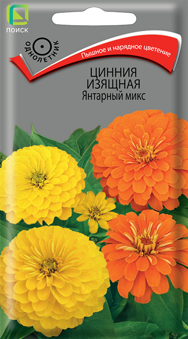 Цинния изящная Янтарный микс