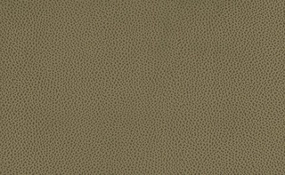 Велюр Tudor (LE) olive (Тудор олив)