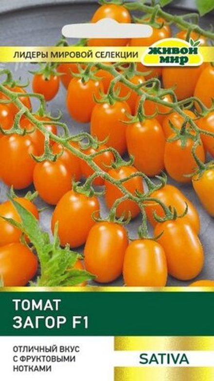 Томат "ЖМ. Зaгop F1" 5шт, Италия.
