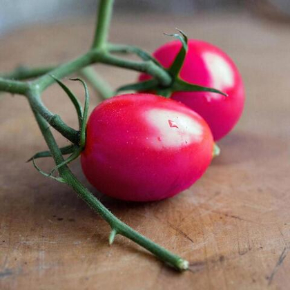 Томат-коктейль 23811 F1 5шт. розовый