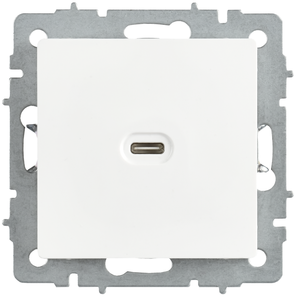 BRITE Розетка USB C 65Вт высокоскоростная зарядка РЮ12-1-БрАБ арктический белый IEK