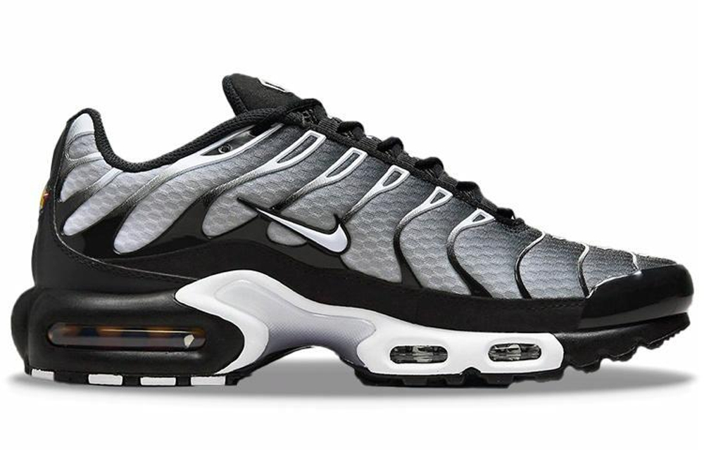Кроссовки Nike Air Max Plus