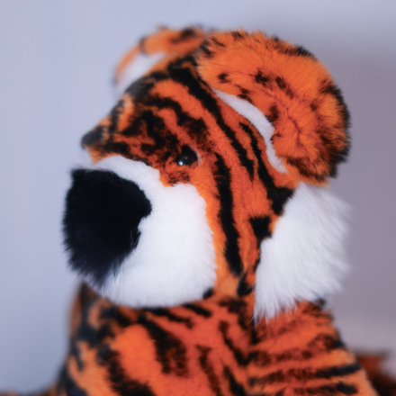 Тигр Тигруля