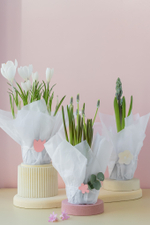 Первоцветы в декоративной тишью