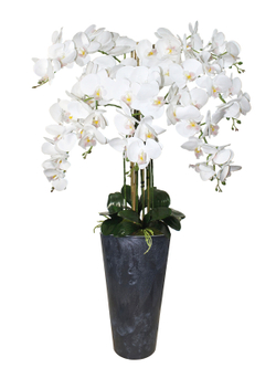 Искусственные орхидеи белые люкс 7 веток в кашпо Графит