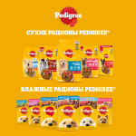 Влажный корм для взрослых собак PEDIGREE с говядиной в соусе 85 г