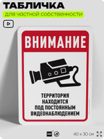 Табличка для частной территории "Внимание, территория находится под видеонаблюдением", на дом, для участка, организаций, предупреждающая, 40х30 см, Silver Plane x Айдентика Технолоджи