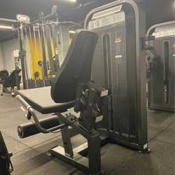 U3002D (E5002) Разгибание ног сидя. Стек 109 кг