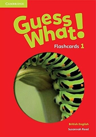 Guess What! Level 1 Flashcards (pack of 95)