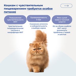 Сухой корм Jarvi для взрослых кошек с чувствительным пищеварением, индейка