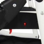 Коляска 3 в 1 Alis Berta