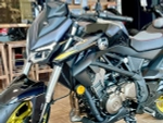 QJMOTOR SRK 400