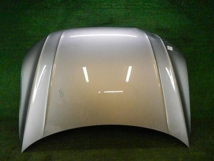 Капот VW Tiguan 2 (2016-2020)