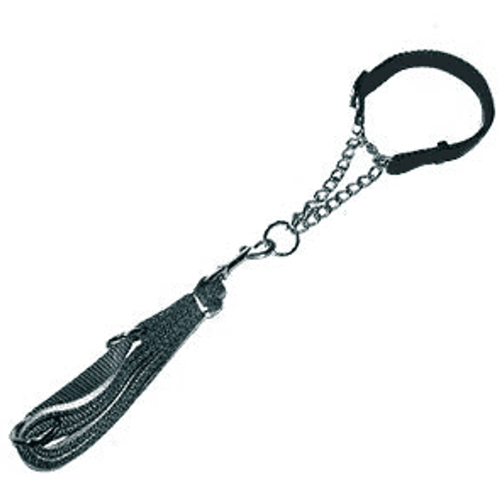ПОВОДОК+ОШЕЙНИК СВЕТООТРАЖАЮЩИЕ (SH 311) 48см х 15см (К-Й)