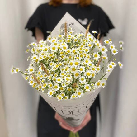 Летний букет ромашка и колоски (мб 6)