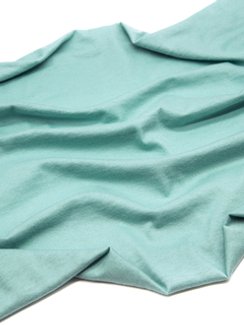 Ластовица, 30*30 см, мята