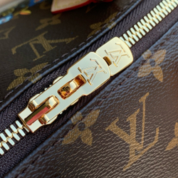 Louis Vuitton Speedy 20