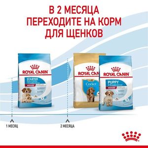 Корм для щенков до 2-х месяцев и беременных сук, Royal Canin Medium Starter Mother & Babydog