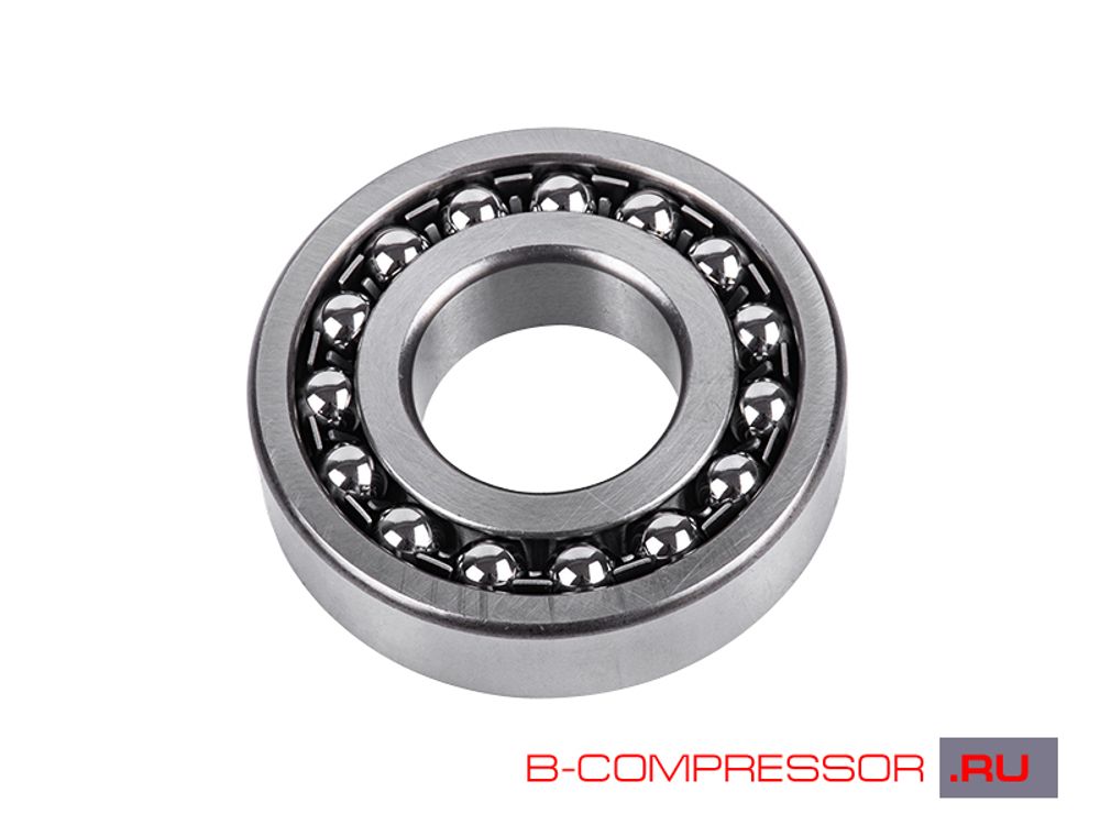 Подшипник 1309