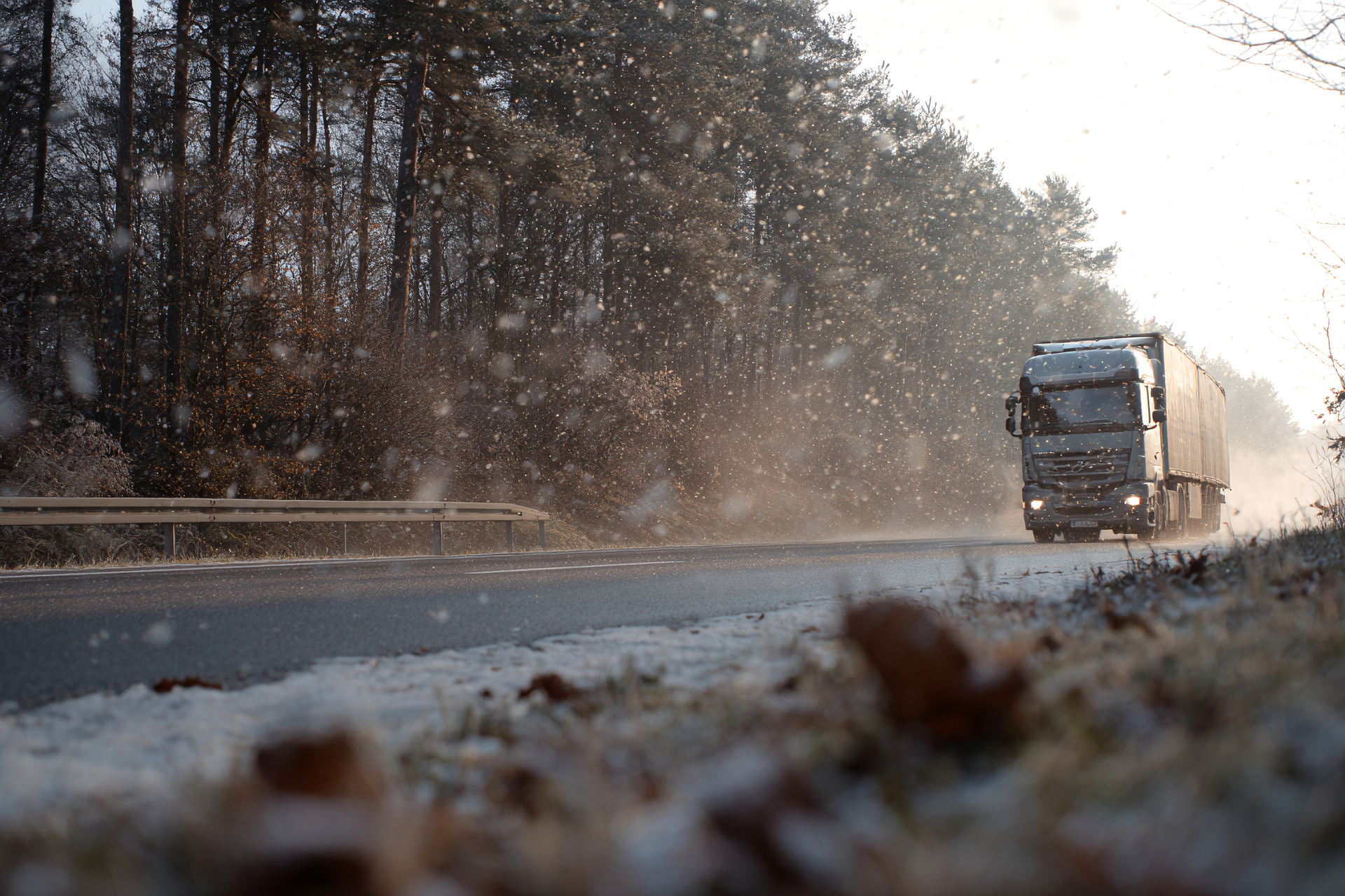 Бесплатная доставка по РФ
