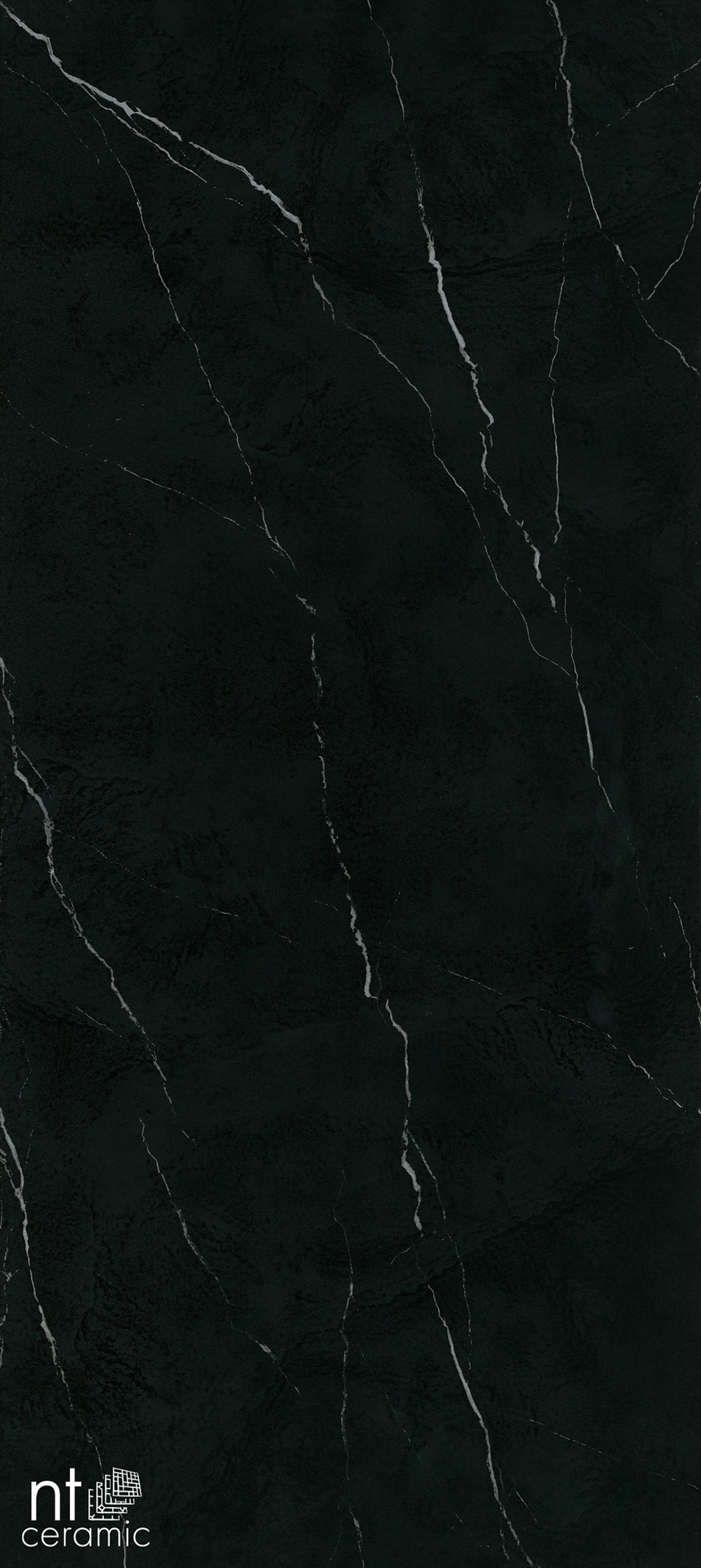 NT CERAMIC. Керамогранит Atlas Home Nero Marquina 270*120 Лаппатированный