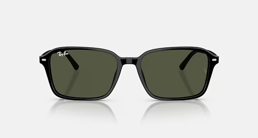 RAY-BAN RAIMOND RB2231-F 901/31