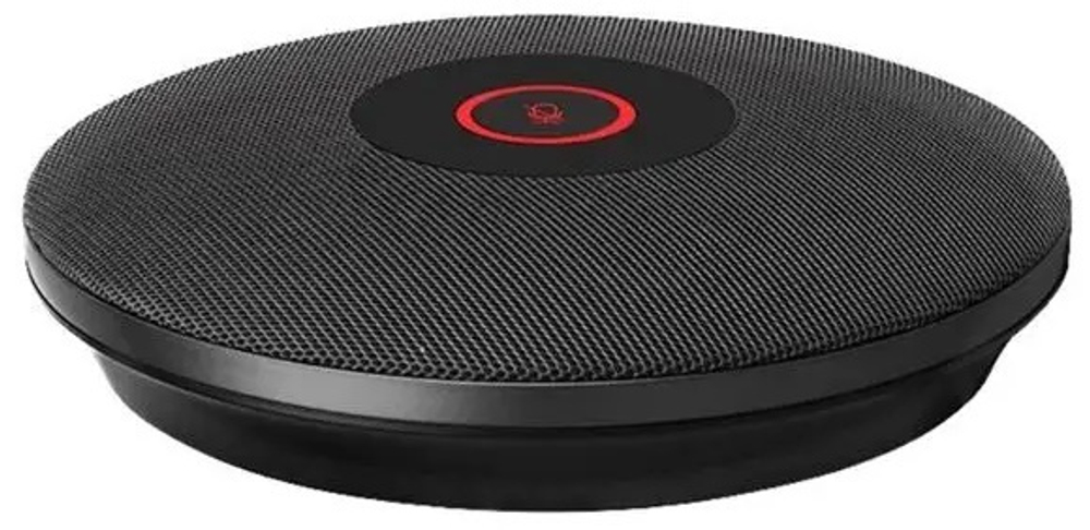 Микрофон Sber SDMIC-001