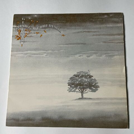 Винтажная виниловая пластинка LP Genesis Wind And Wuthering (France 1976)