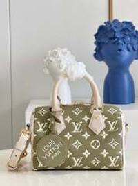 Louis Vuitton Speedy 20