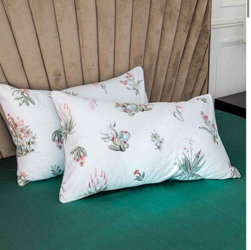 Постельное белье ЕВРО (двуспалка) Египедский Хлопок Белый лепестки