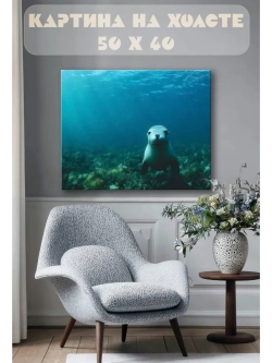 Картина на стену 40 X 50 Тюлень под водой