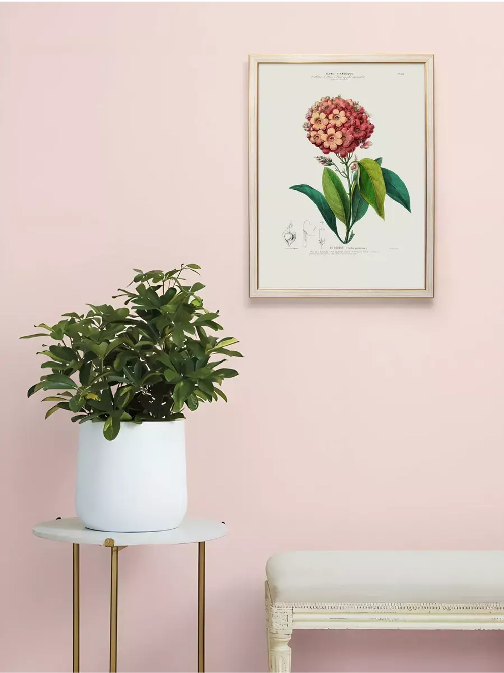 Постер настенный в багетной раме "Ботаника" 42*32 см