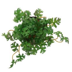 GAEM Цветочная композиция, L15 W15 H15 см