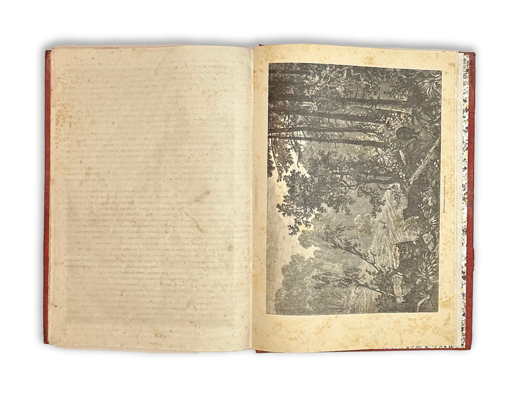 Художественная Россия. Общедоступное описание нашего отечества. Т. 1 [и ед.]. 1884