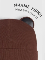 Шапка для мальчика осенняя с ушками