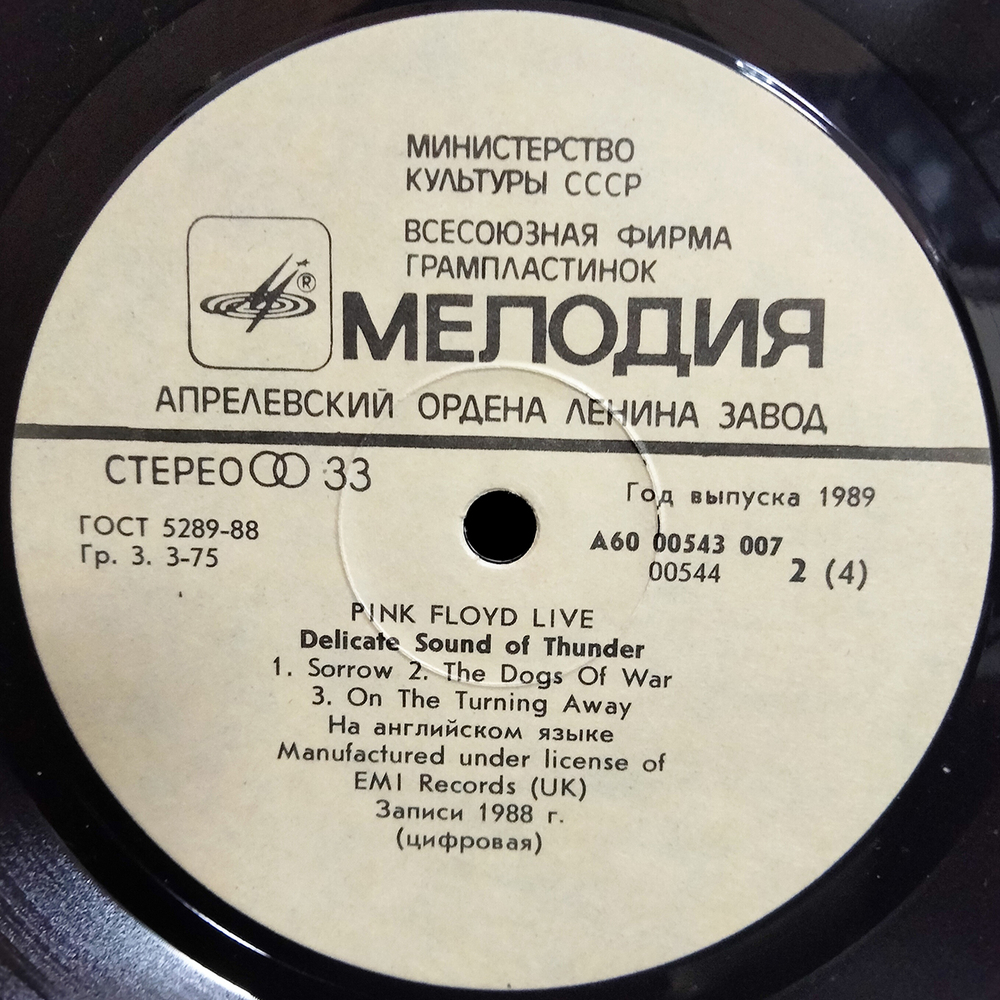 Pink Floyd / Delicate Sound Of Thunder (2LP)