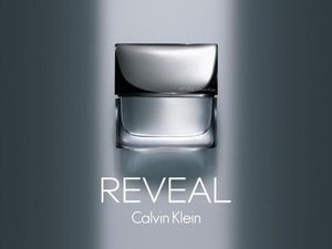 Calvin Klein Reveal Men