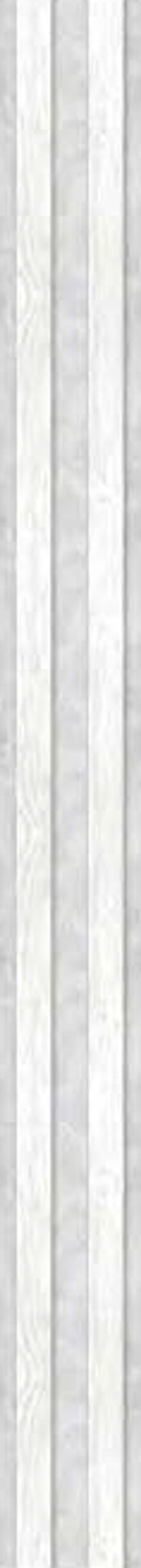 Панель ПВХ фотопечать 158 Нидвуд 2700х250 мм