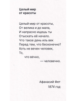 Как семечко становится цветочным полем