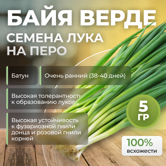 БАЙЯ ВЕРДЕ семена лука на перо (Seminis | Alexagro)