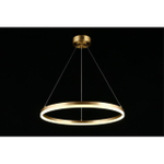 Подвесная светодиодная люстра Aployt Armel APL.049.13.40