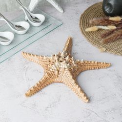 Блюдо для подачи 28*28 см h6 см 100 мл Звезда Pearl Starfish Frutti di Mare P.L. [1]