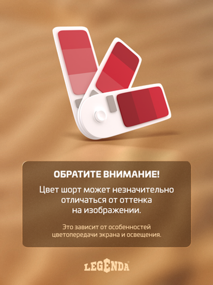 Шорты плавки Gradient LEGENDA укороченные терракотовый