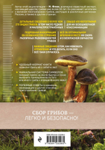 Грибы
