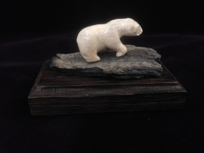 Белый медведь