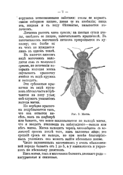 Про пчел, их жилища и уход за ними по правилам пчеловодной науки | Красноперов Степан Константинович