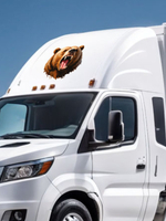 наклейка на авто